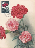 Carte Maximum URSS Russie Russia Fleur Flower œillet Carnation  2958 - Cartes Maximum