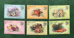 BELIZE BELICE, FAUNA Y FLORA MARINA Lote 1 - Belize (1973-...)