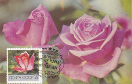 Carte Maximum URSS Russie Russia Fleur Flower Rose 3487 - Tarjetas Máxima