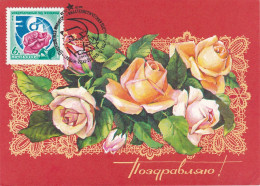 Carte Maximum URSS Russie Russia Fleur Flower Rose - Cartoline Maximum