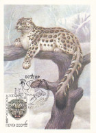 Carte Maximum URSS Russie Russia Félin Feline Léopard Des Neiges Snow Leopard 5077 - Cartes Maximum