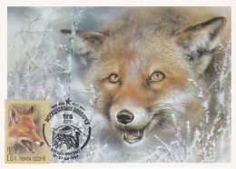 Carte Maximum URSS Russie Russia Renard Fox 5560 - Maximum Cards