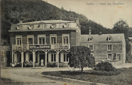 Tailfer - Lustin - Hôtel Des Dauphins - 1909 - Profondeville