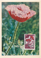 Carte Maximum URSS Russie Russia  Fleur Flower Coquelicot Poppy 2955 - Maximumkarten