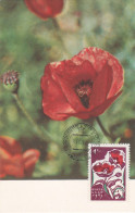 Carte Maximum URSS Russie Russia  Fleur Flower Coquelicot Poppy 2955 - Tarjetas Máxima