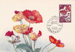 Carte Maximum URSS Russie Russia  Fleur Flower Coquelicot Poppy 2955 - Maximumkaarten