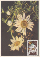 Carte Maximum URSS Russie Russia  Fleur Flower Marguerite 2956 - Maximumkarten