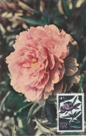 Carte Maximum URSS Russie Russia  Fleur Flower Rose 2957 - Tarjetas Máxima