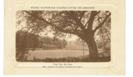 Ecole Nationale D'agriculture De Grignon. Une Vue Du Parc - Grignon