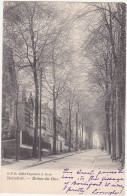 Belgique / Boitsfort - Drève Du Duc - 1910 - Zonder Classificatie