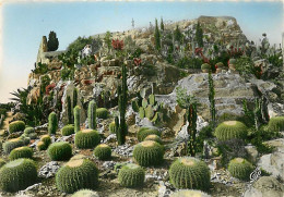 Fleurs - Plantes - Cactus - Eze Village - Le Jardin Exotique - Coussin De Belle Mère - Carte Neuve - CPM - Voir Scans Re - Sukkulenten