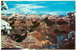 Etats Unis - Grand Canyon - Grand Canyon National Park - CPM - Voir Scans Recto-Verso - Grand Canyon