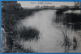 Cpa D Ailly Sur Somme Les Marais - Ailly Sur Noye