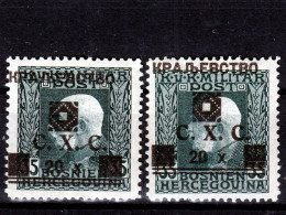 ⁕ Yugoslavia - Bosnia 1919 ⁕ Kingdom Of S.H.S. Shifted Overprint ERROR On Franz Joseph Mi.46 ⁕ 2v MLH/MH - Scan - Bosnien-Herzegowina