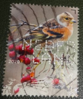 Nederland - NVPH - Xxxx - 2020 - Gebruikt - Used - Beleef De Natuur - Keep - Used Stamps