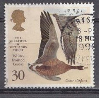 Grande-Bretagne 1996  Mi.nr: 1617Gesellshaft Zum  Schutz Der Wasservögel   Oblitérés / Used / Gestempeld - Gebraucht