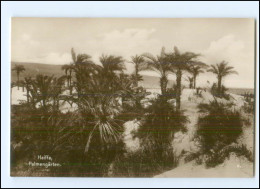 V5238/ Haifa Palästina  Foto Trinks-Bildkarte AK-Format Ca.1925 - Palestine