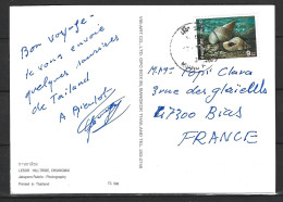 THAÏLANDE. N°1763 De 1997 Sur Carte Postale Ayant Circulé. Coquillages. - Conchas