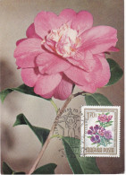 Carte Maximum Hongry Hungary Fleur Flower églantine Wild Rose 1726 - Maximum Cards & Covers