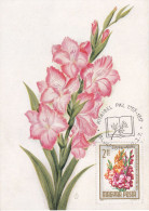 Carte Maximum Hongry Hungary Fleur Flower Glaïeul Laguiole 1727 - Cartoline Maximum