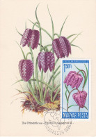 Carte Maximum Hongry Hungary Fleur Flower  Fritillaire Fritillary 1805 - Maximumkarten (MC)