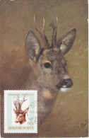 Carte Maximum Hongrie Hungary Chevreuil Deer 1847 - Cartes-maximum (CM)