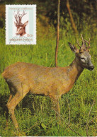 Carte Maximum Hongrie Hungary Chevreuil Deer 1847 - Cartes-maximum (CM)
