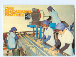Y22465/ Macadamia Nut Factory Sunshine Plantation, Queensland Australien AK  - Andere & Zonder Classificatie
