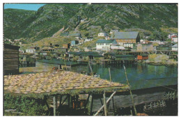 Y28093/ Petty Harbour Newfoundland AK 1968  Neufundland - Non Classés