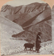 XX17223/ Stereofoto Palästina Palestine Wilderness Of Scape-goat  Foto 1900 - Palestine