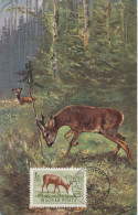 Carte Maximum Hongrie Hungary Chevreuil  Deer Pa143 - Maximum Cards & Covers