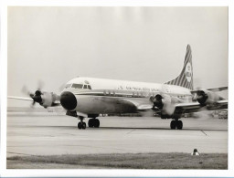 MM0416/ Flugzeug KLM  Foto 24 X 18 Cm 70er Jahre - Otros & Sin Clasificación
