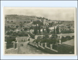 XX16862/ Jerusalem Garten Gethsemane Foto AK  Palästina  Ca. 1930 - Palestine