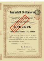 Gesellschaft Süd-Kamerun; Genussschein - Bank & Insurance