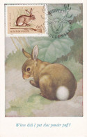 Carte Maximum Hongrie Hungary Chasse Hunting Lièvre Hare 1693 - Maximum Cards & Covers