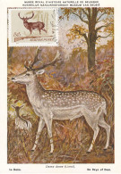 Carte Maximum Hongrie Hungary Chasse Hunting Daim Deer 1694 - Maximumkaarten