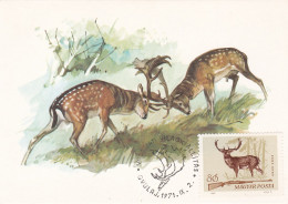 Carte Maximum Hongrie Hungary Chasse Hunting Daim Deer 1694 - Maximum Cards & Covers