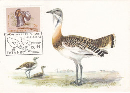 Carte Maximum Hongrie Hungary Chasse Hunting Oiseau Bird Outarde Bustard 1697 - Maximum Cards & Covers