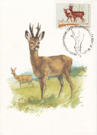 Carte Maximum Hongrie Hungary Chasse Chevreuil Deer 1698 - Tarjetas – Máximo