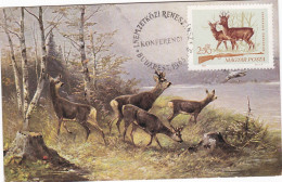 Carte Maximum Hongrie Hungary Chasse Chevreuil Deer 1698 - Cartoline Maximum