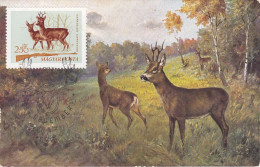 Carte Maximum Hongrie Hungary Chasse Chevreuil Deer 1698 - Cartes-maximum (CM)