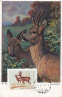 Carte Maximum Hongrie Hungary Chasse Chevreuil Deer 1698 - Maximum Cards & Covers