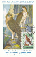 Carte Maximum Hongrie Hungary Oiseau Bird Rapace Raptor Aigle Eagle  Pa253 - Maximumkarten (MC)