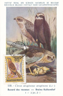 Carte Maximum Hongrie Hungary Oiseau Bird Rapace Raptor Busard Buzard  Buzzard   Pa252 - Maximumkarten (MC)