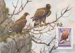 Carte Maximum Hongrie Hungary Oiseau Bird Rapace Aigle Eagle Pa256 - Cartoline Maximum