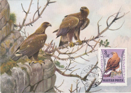 Carte Maximum Hongrie Hungary Oiseau Bird Rapace Aigle Eagle Pa256 - Maximumkarten (MC)