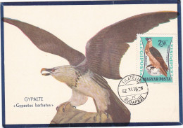 Carte Maximum Hongrie Hungary Oiseau Bird Rapace Gypaète Bearded Vulture Pa255 - Cartes-maximum (CM)