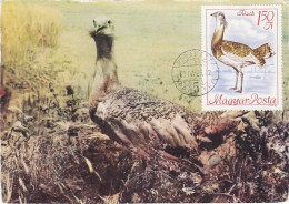 Carte Maximum Hongrie Hungary Oiseau Bird Outarde Bustard 1961 - Tarjetas – Máximo