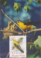 Carte Maximum Hongrie Hungary Oiseau Bird Loriot Oriole 1957 - Maximumkarten (MC)