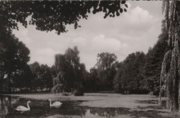 41838 - Alsfeld - Am Erlenteich - 1962 - Alsfeld